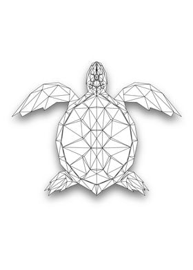 Turtle Wireframe Lowpoly