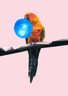 Parrot bubblegum  amimal