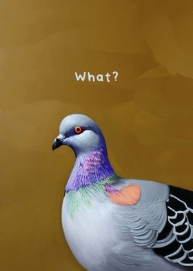 Meme Pigeon 3