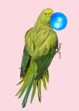 Parrot bubblegum  amimal