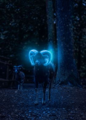 Goat Glowing Horns