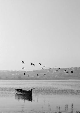 Bird on the beach