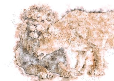 Romantic Lion Watercolor