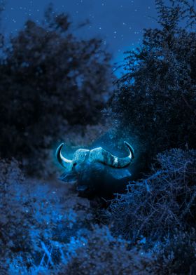 Buffalo Glowing Horns