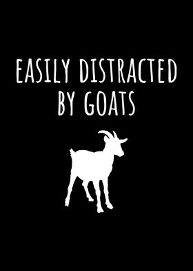 Easily Distracted by Goats