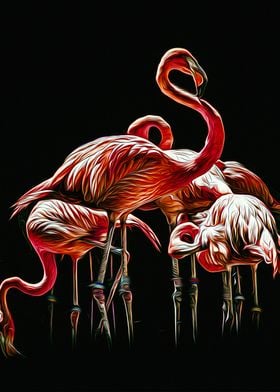 Flamingo