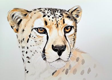 Jaguar portrait paint