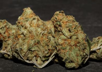 Medical marihuana buds