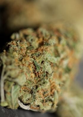 Medical marihuana buds