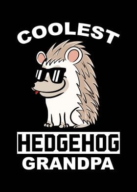 Hedgehog Grandpa 