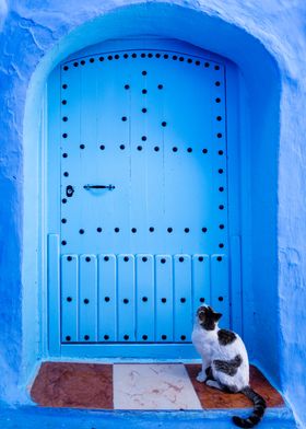 Blue door and cat Morocco