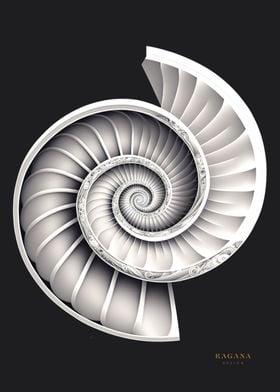 Fibonacci White Spiral 
