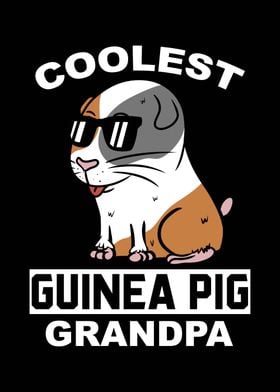 Guinea Pig Grandpa 