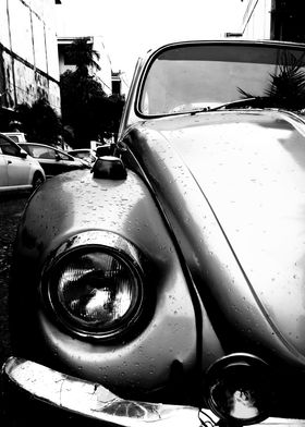 vw beetle