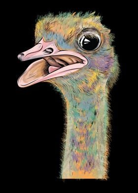 Ostrich Head