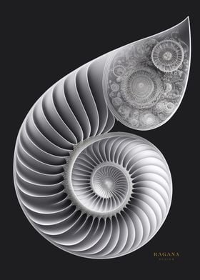 Fibonacci White Spiral 