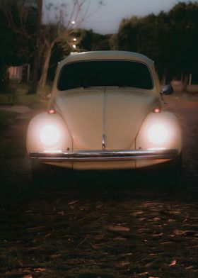 vw beetle