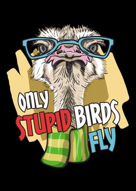 Only Stupid Birds Fly