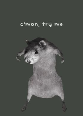 Funny meme rat' Poster by Finn Vidtak | Displate