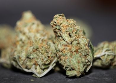 Medical marihuana buds