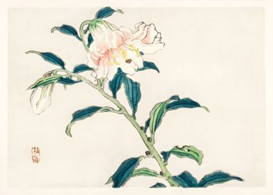 Ukiyo e Pink Flower