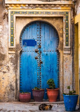 Cat and blue door Morocco