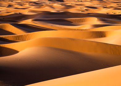 Dunes in the Sahara