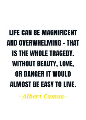 Albert camus quote