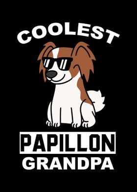 Papillon Grandpa 