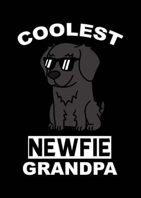 Newfoundland Dog Grandpa 