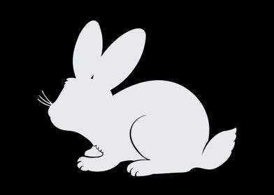 rabbit 