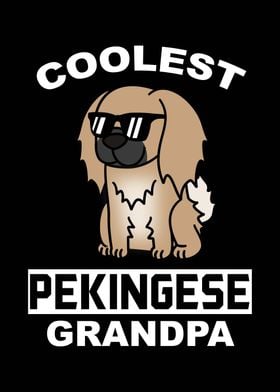 Pekingese Grandpa 