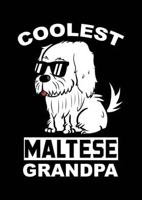 Maltese Grandpa 