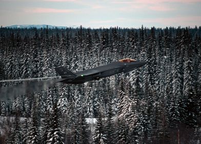 F35 through a forest