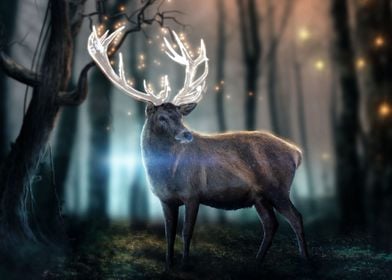 The Magic Forest DEER