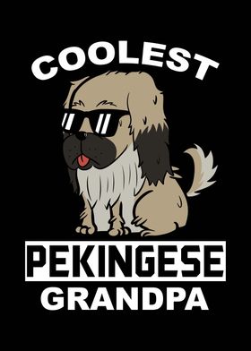 Pekingese Grandpa 