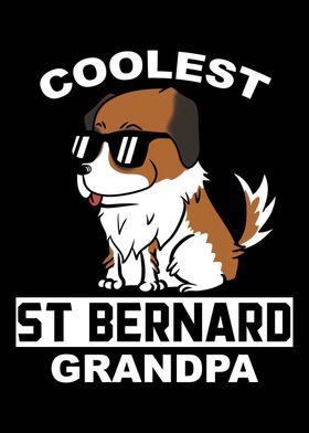 Saint Bernard Grandpa 