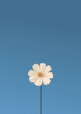 White flower and sky