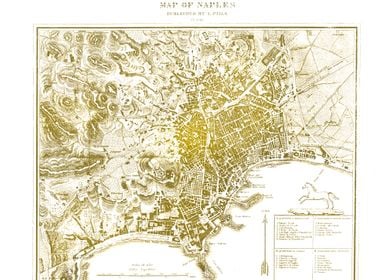 Vintage white Naples map