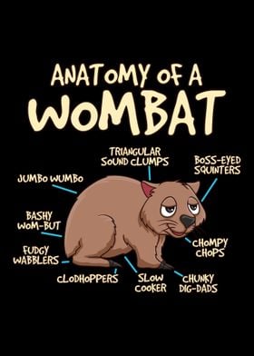 Anatomy Of A Wombat