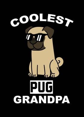 Pug Grandpa 