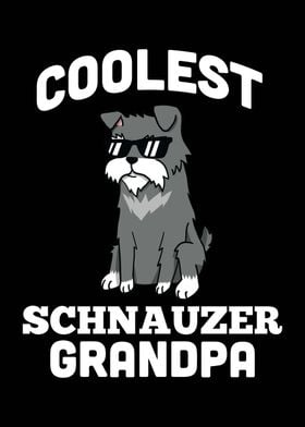 Schnauzer Grandpa 