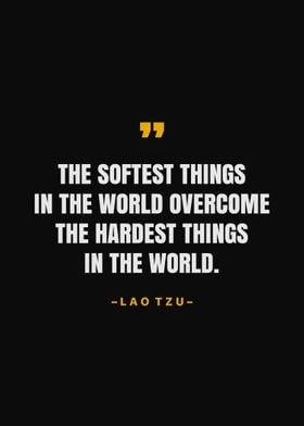 Lao Tzu Quotes 