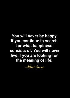 Albert Camus quotes 