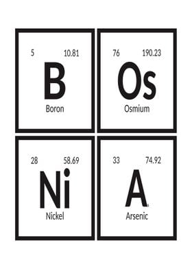 Elements of Bosnia