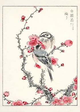 Ukiyo e Cherry Blossom