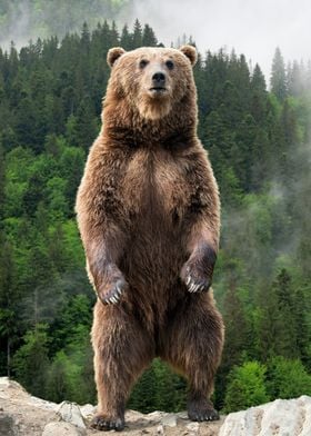 Big Standing Brown Bear