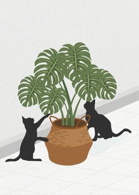  Cat and monstera plant