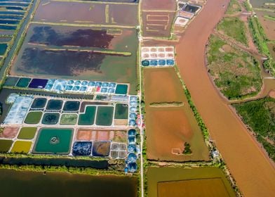 Colorful coastal fields