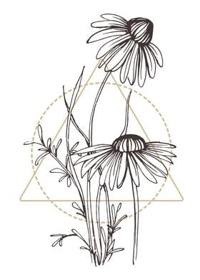 Chamomile and Daisy wheel 